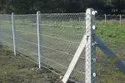 Fencing Pole